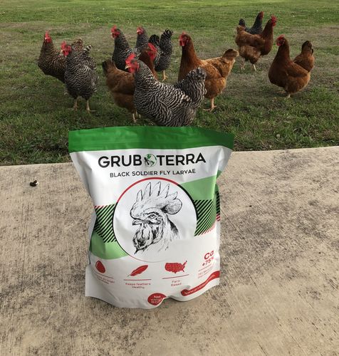 Customer photo review of GrubTerra Dried Larvae