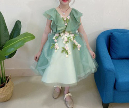 Customer photo review of Vintage Elegant Embroidery Girl Puffy Green Princess Dresses