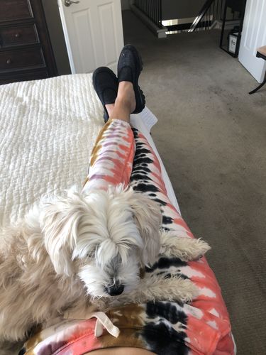 Customer photo review of Vendimia Jogger - Camille / Aster / Honey