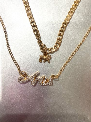 Customer photo review of Zodiac Necklaces