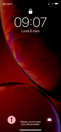 Customer photo review of ROSELASH x1