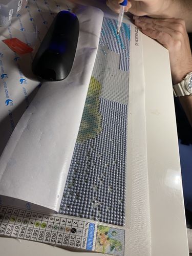 Customer photo review of ¡Regalo Gratis!