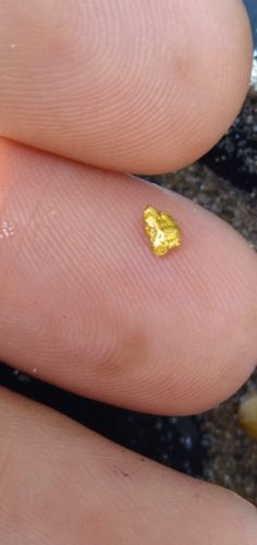 Customer photo review of Goldn Paydirt 'EUREKA' Panning Pay Dirt Bag Gold Paydirt Panning Unsearched