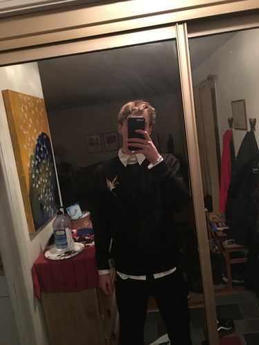 Customer photo review of Crane Embroidery Sweatshirt