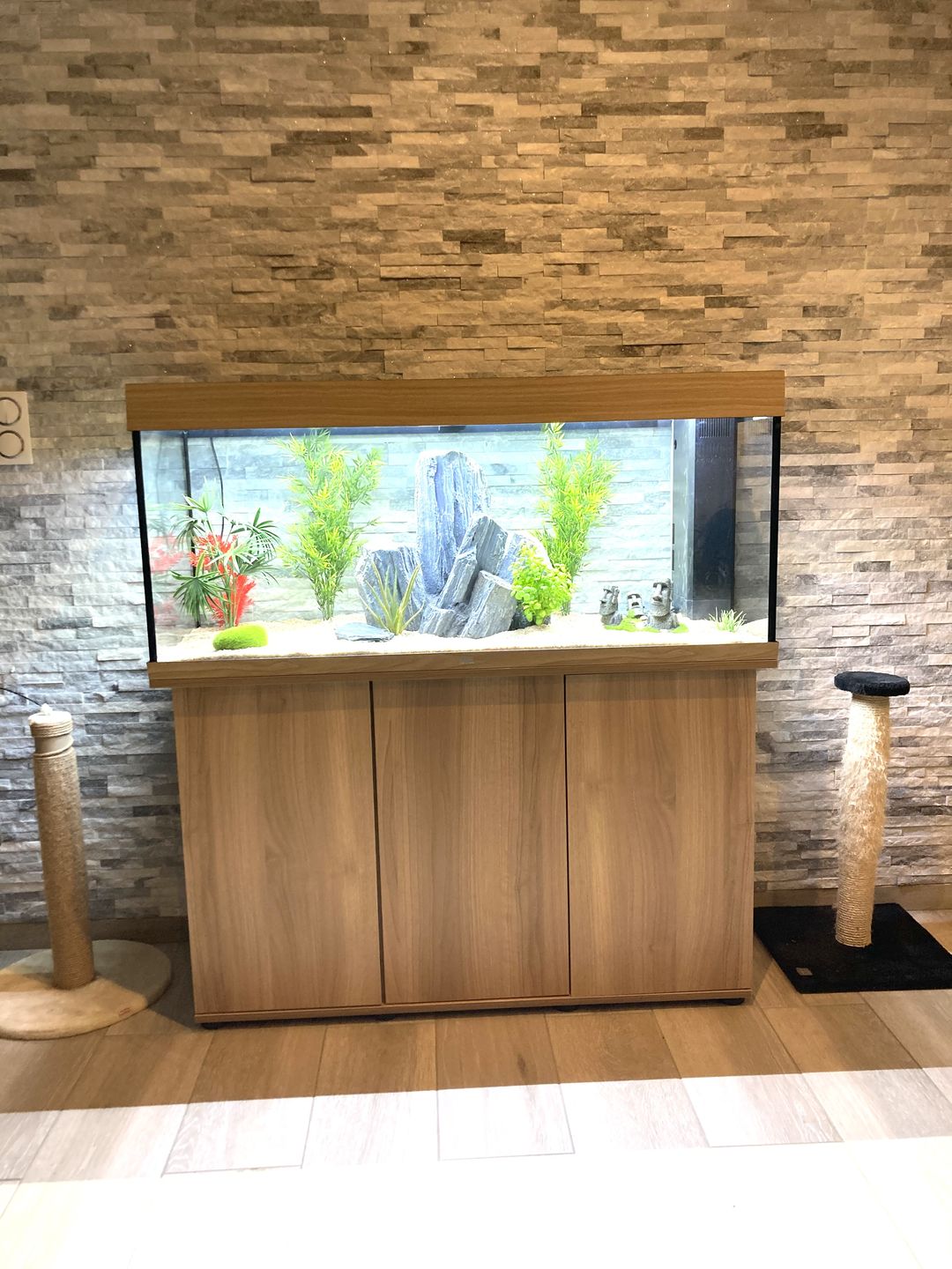 Customer photo review of Aquarium Rio 240 LED Chêne Équipé JUWEL - 240L