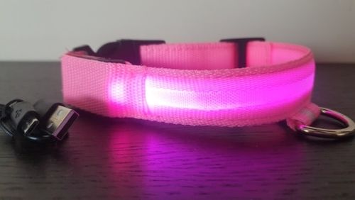 Customer photo review of LED Collar