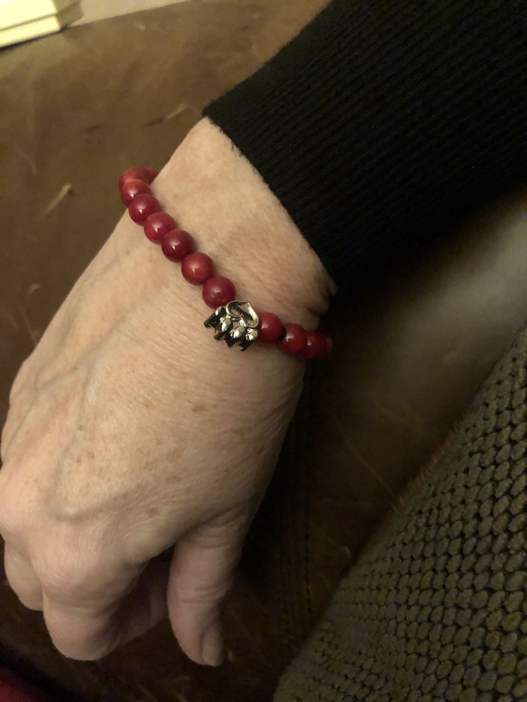 Customer photo review of Help For Paws™ Bracelet In Red