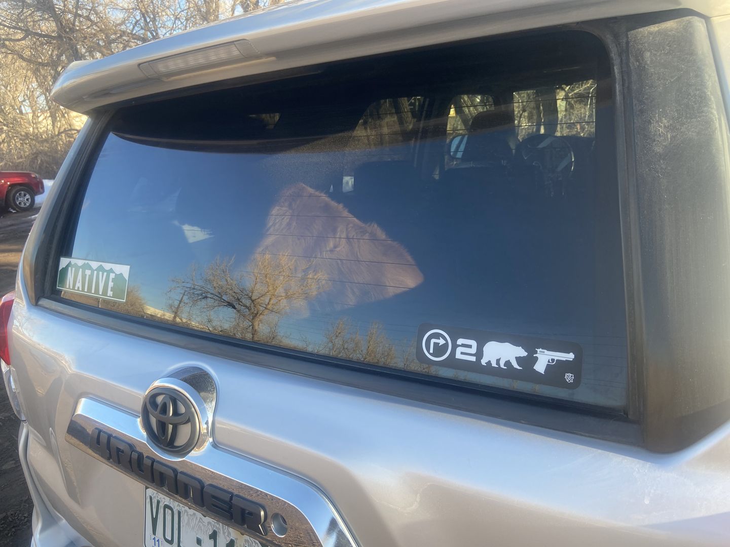 Customer photo review of Right 2 Bear Arms Decal