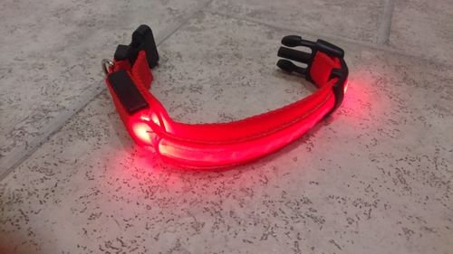 Customer photo review of LED Collar