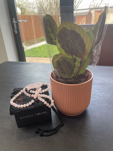 Customer photo review of The Lady Tasbih -  Rose Quartz