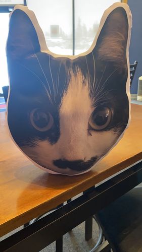 Customer photo review of Create A Custom Cat Pillow