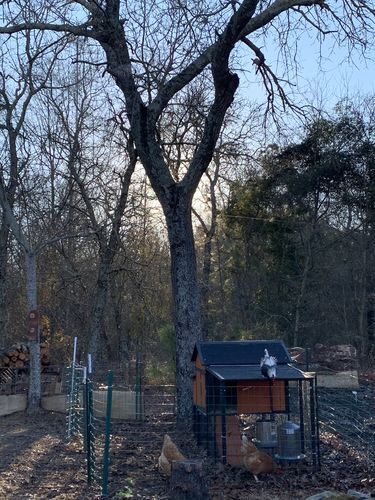 Customer photo review of GrubTerra Dried Larvae