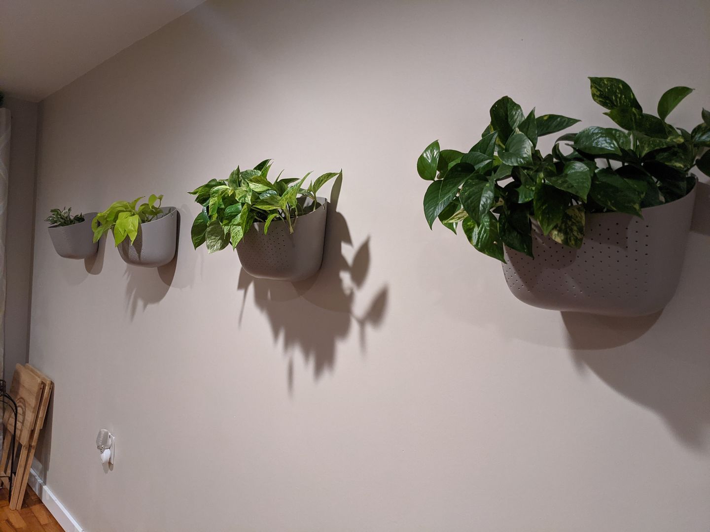 Customer photo review of Wally Eco Stone Wall Planter