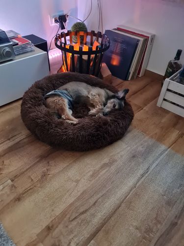 Customer photo review of Puppery Kuschelbett - Das Original