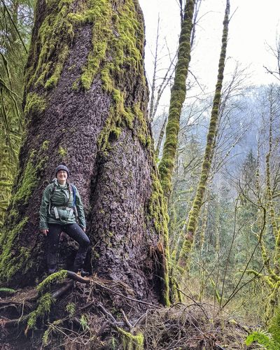 Customer photo review of Inspire Exercise Pants - Moons | MT SPORT