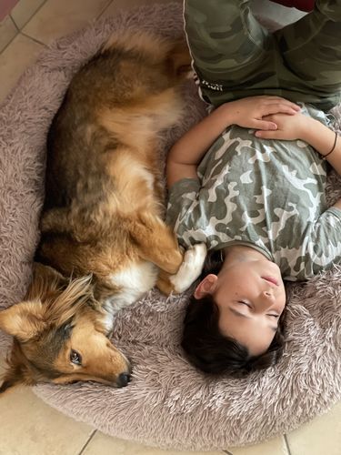 Customer photo review of Puppery Kuschelbett - Das Original