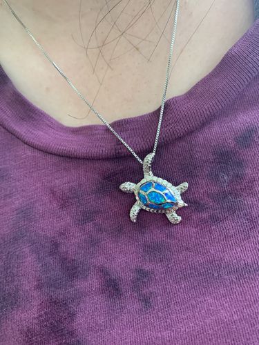 Customer photo review of Save a Turtle Necklace