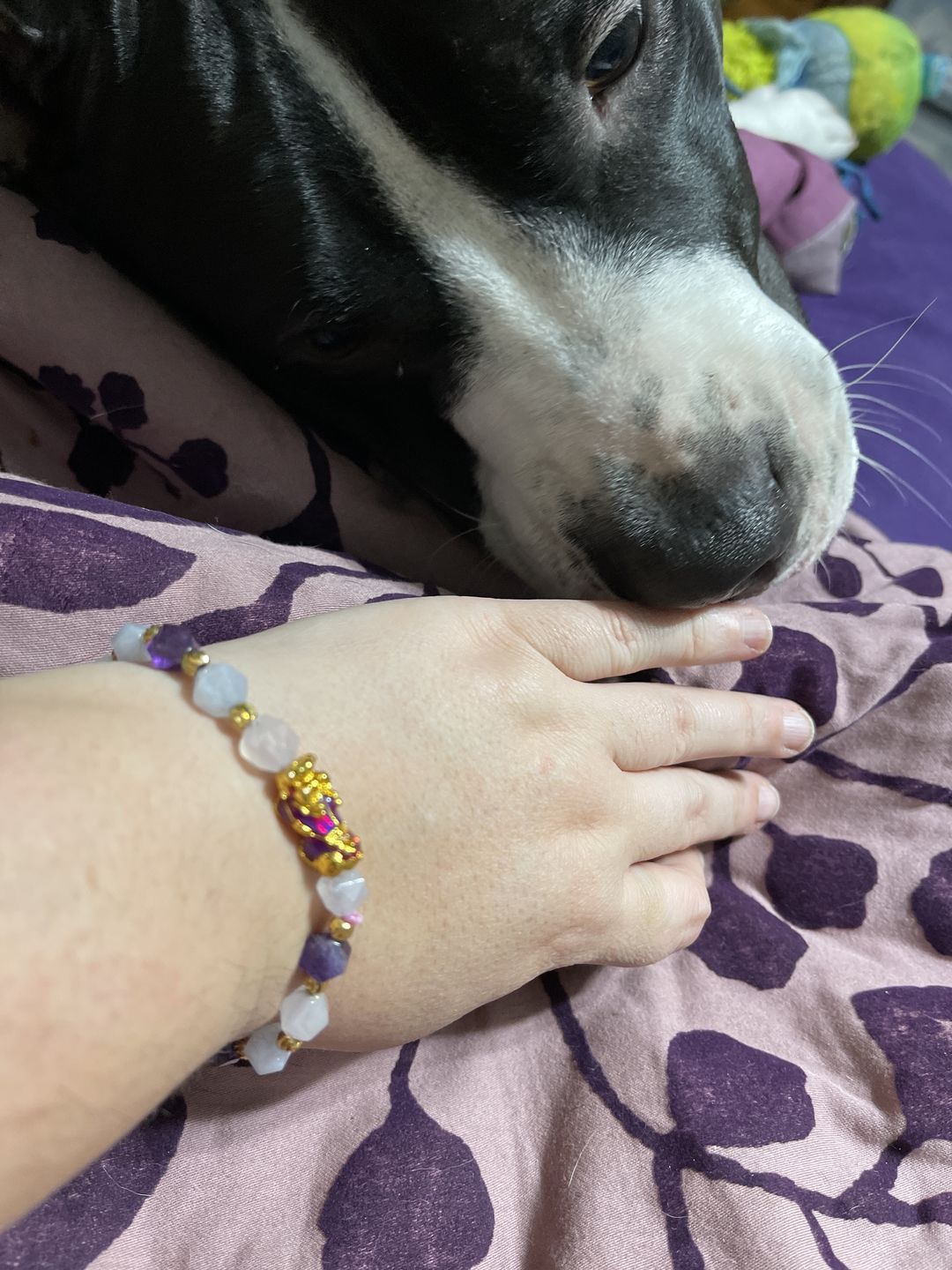 Customer photo review of Wealth Pixiu Charm in Natural Amethyst Bracelet