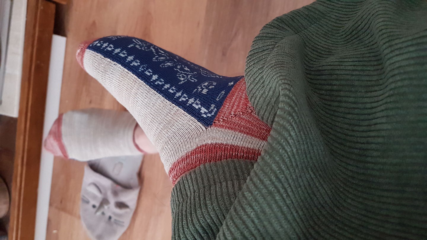 Customer photo review of Spring Autumn Jacquard Color Matching Socks (5 Pairs)