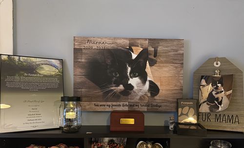 Customer photo review of Wooden Animal Portrait Sign | Personalized Canvas Wall Art