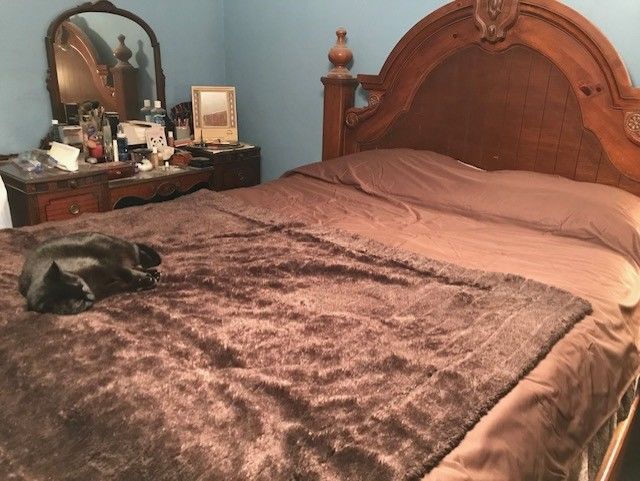 Customer photo review of Silly Legacy® - Thin Reversible Waterproof Protective Cover for Pets and People