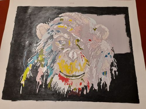 Customer photo review of Orangután