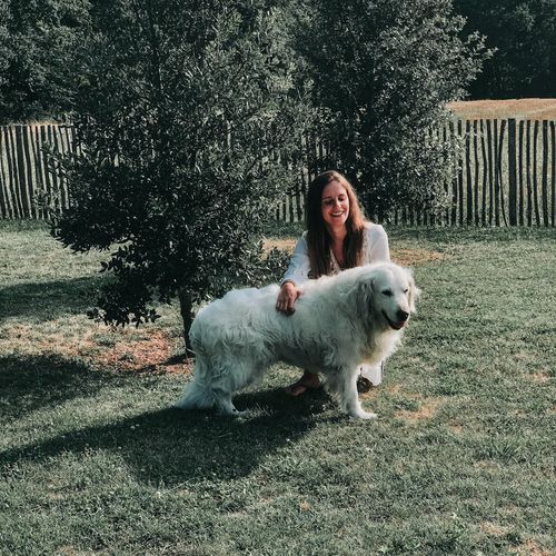 Customer photo review of TROPICO LIGHTROOM PRESETS