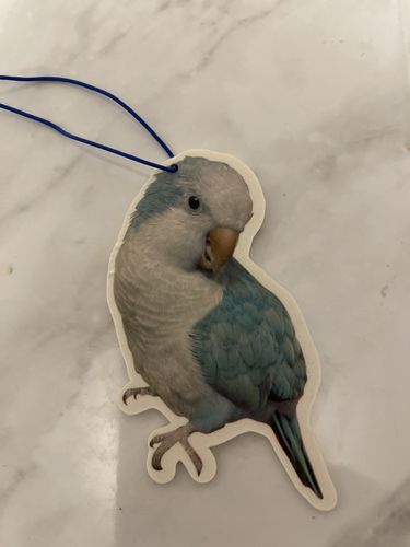 Customer photo review of Custom Air Freshener