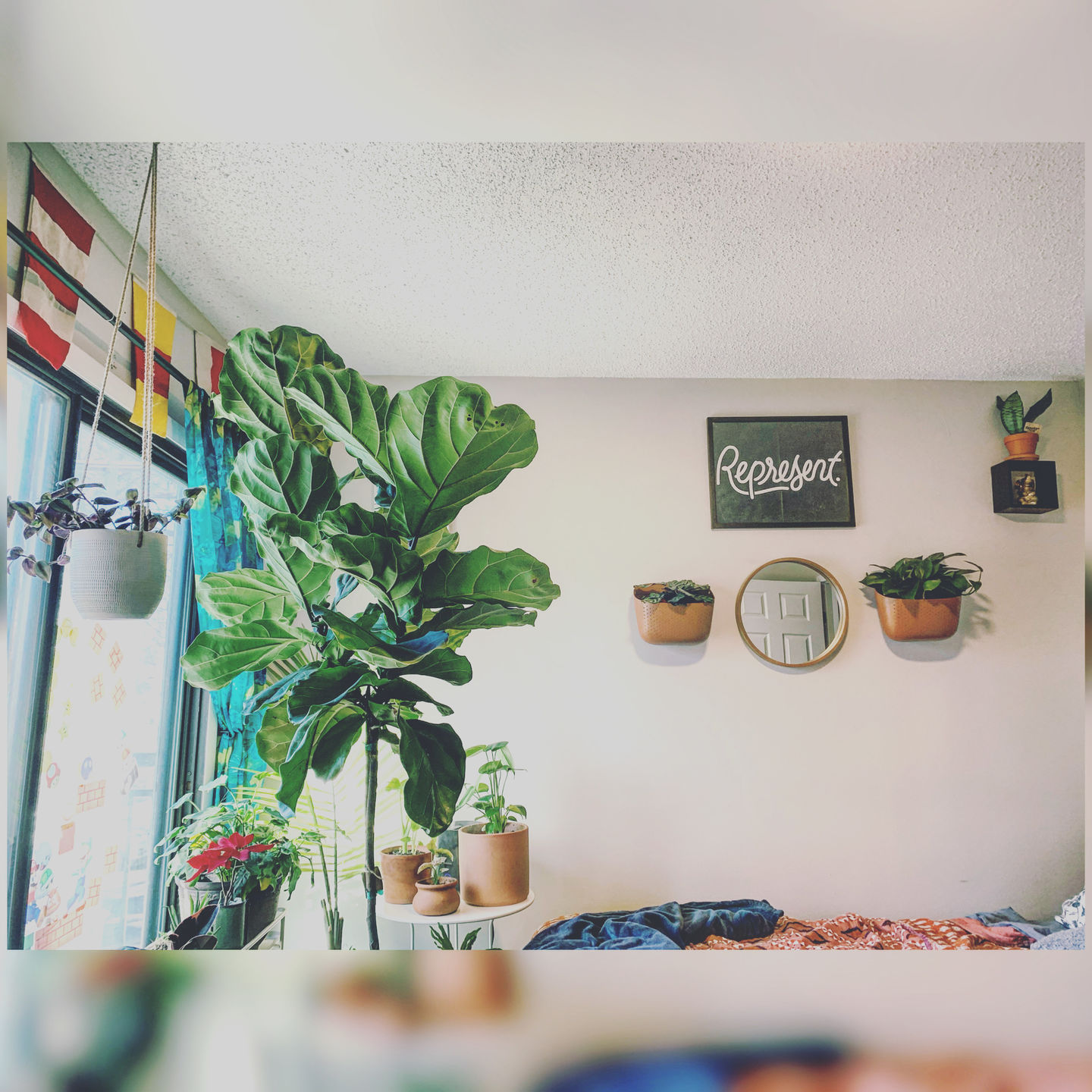 Customer photo review of Eco Terracotta Wall Planter