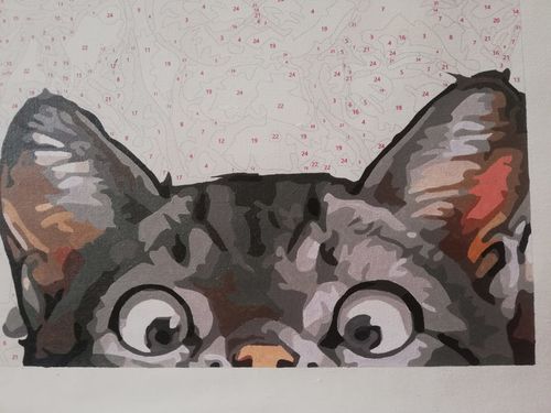 Customer photo review of Gatos sorprendidos