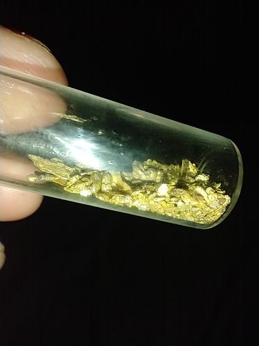 Customer photo review of 2 Lb. JACKPOT PAYDIRT™ Gold Paydirt Unsearched