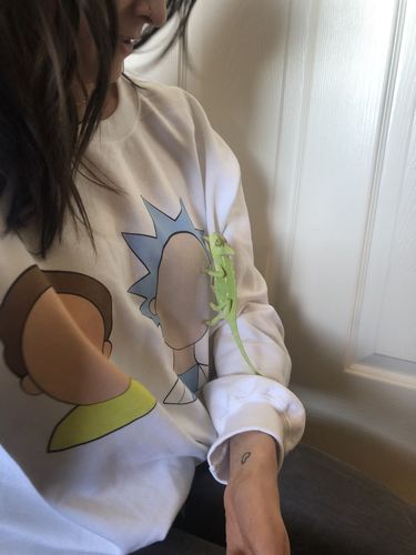 Customer photo review of Space Traveling Duo