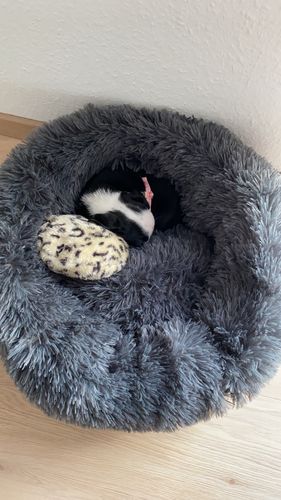 Customer photo review of Puppery Kuschelbett - Das Original