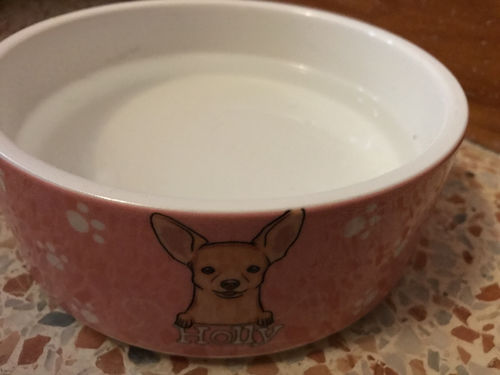 Customer photo review of Fun Dog Bowl - Personalized Custom Pet Bowl