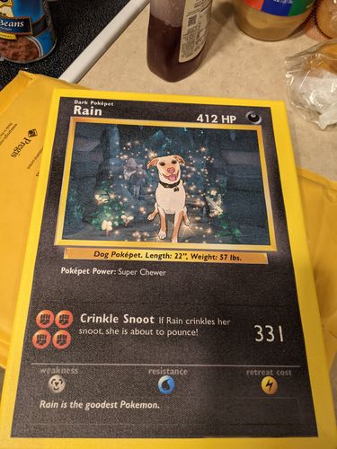 Customer photo review of PokePet Canvas