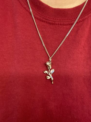 Customer photo review of Rose (Silver)