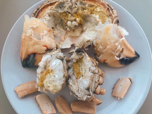 Customer photo review of Jonah Crab 石头蟹 (2只)