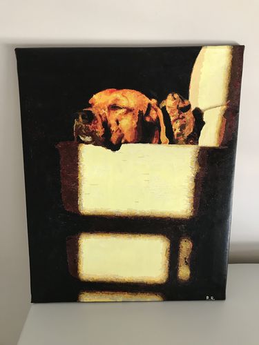 Customer photo review of Pintar por numeros personalizado