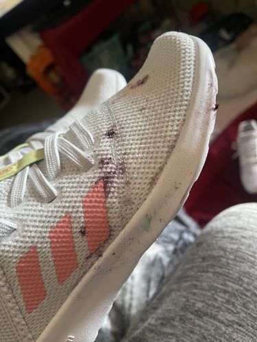 EBkicks Shoe Cleaner Reviews - 491 Reviews | www.ebkicks.com