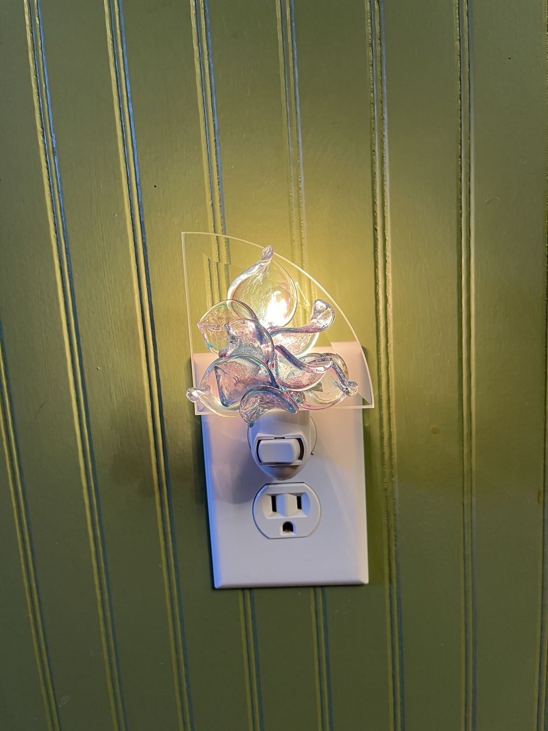 Customer photo review of Memorial Nightlight Flower with Cremation Ash