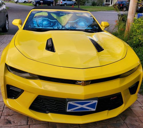 Customer photo review of Transformer Bumblebee Eyes Car Sun shade