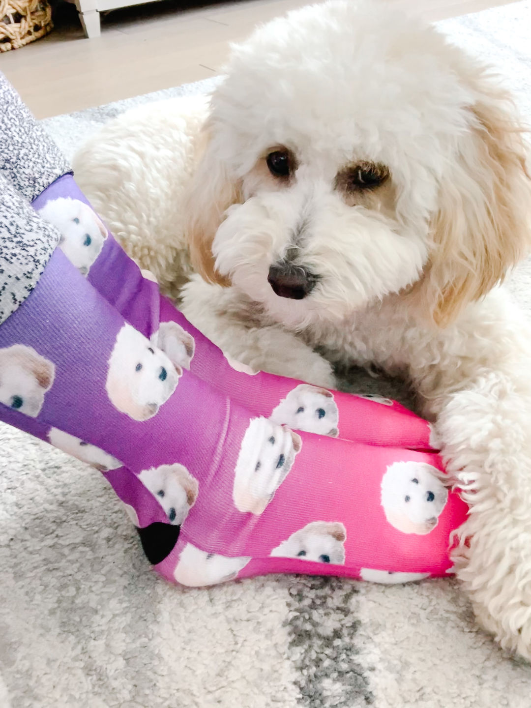 Customer photo review of Custom Pet Art Socks