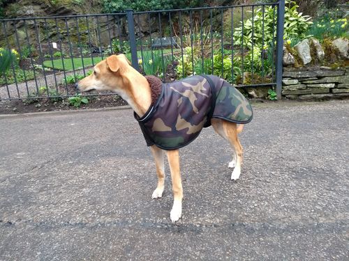 Customer photo review of Camouflage Whippet Coats