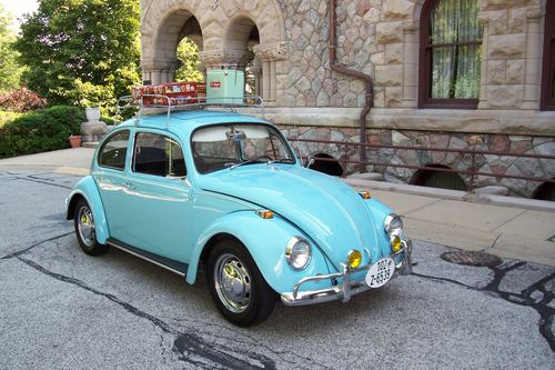 Customer photo review of Custom Car Portrait
