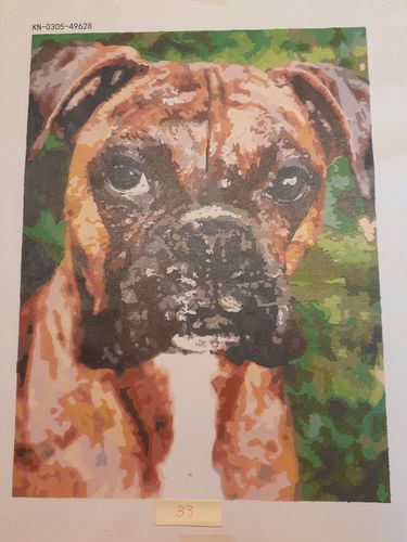 Customer photo review of Custom Paint By Numbers Kit - Upload Your Photo - Brush Set Included