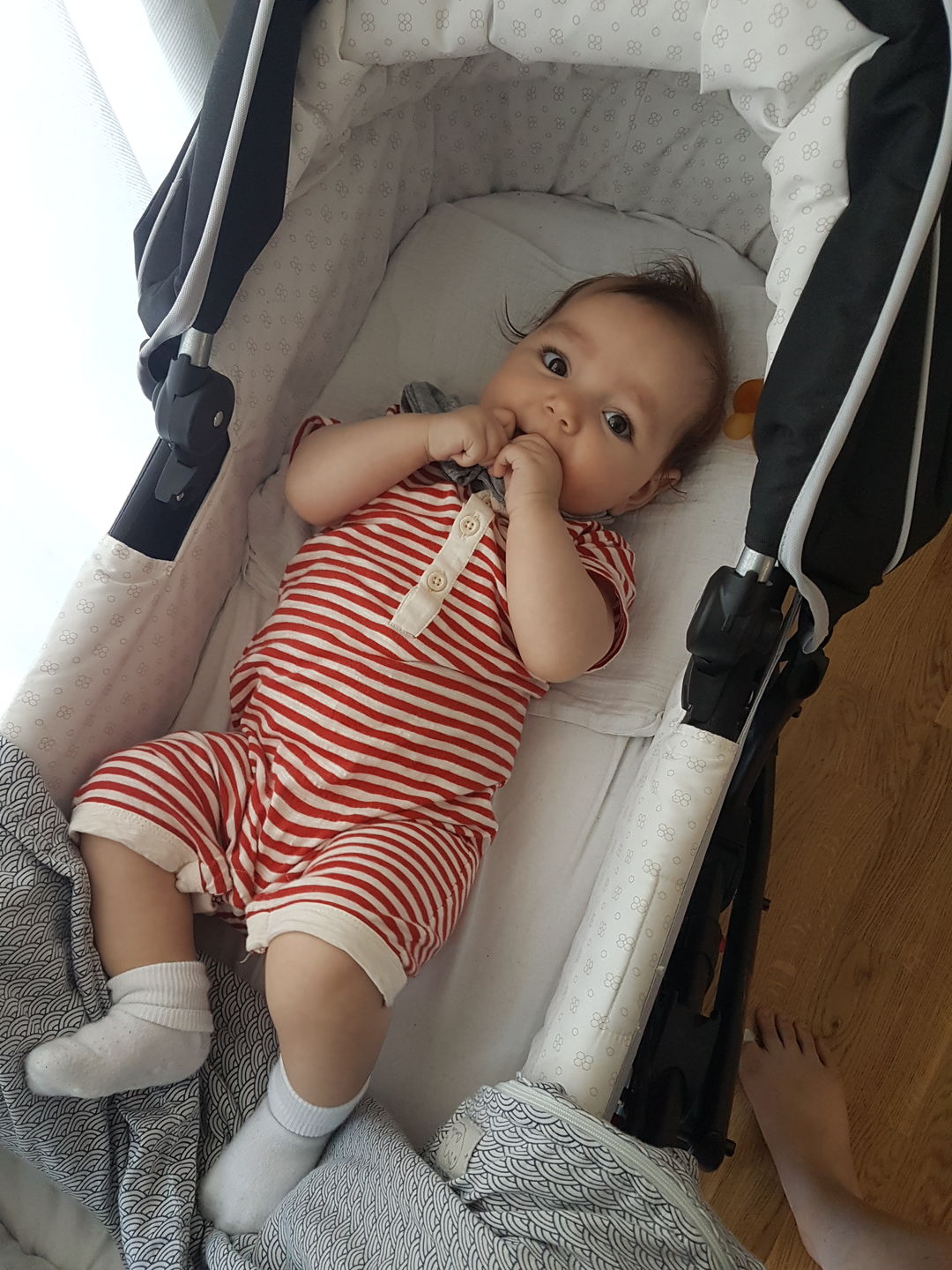 Customer photo review of Red Stripe Summer Shortie