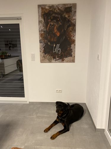 Customer photo review of Aquarell Pawtrait