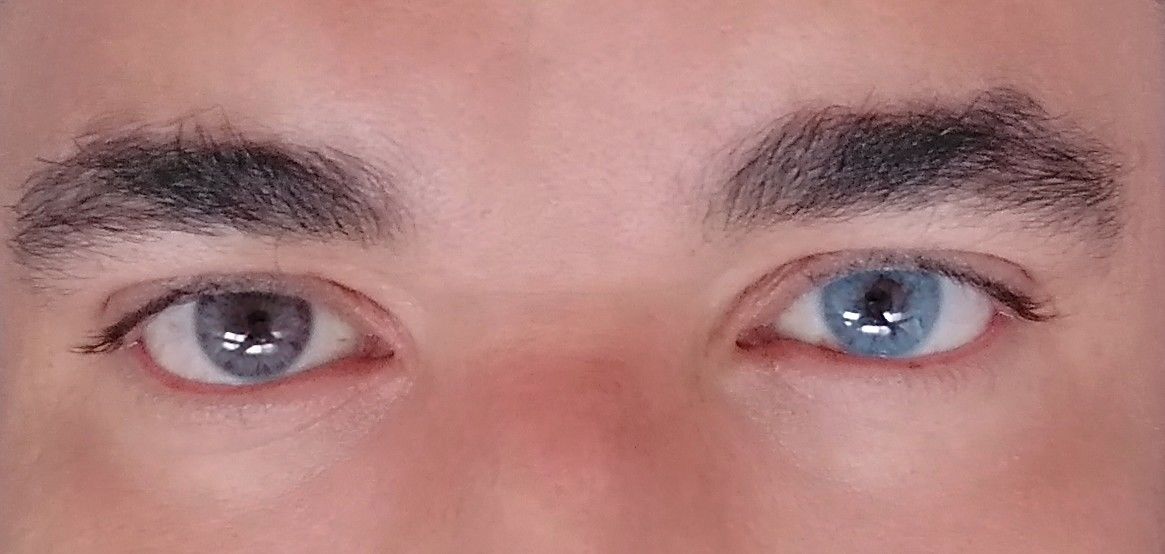 Customer photo review of Siesta Crystal Iris Blue