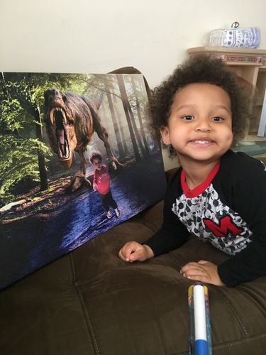 Customer photo review of Dino Forest