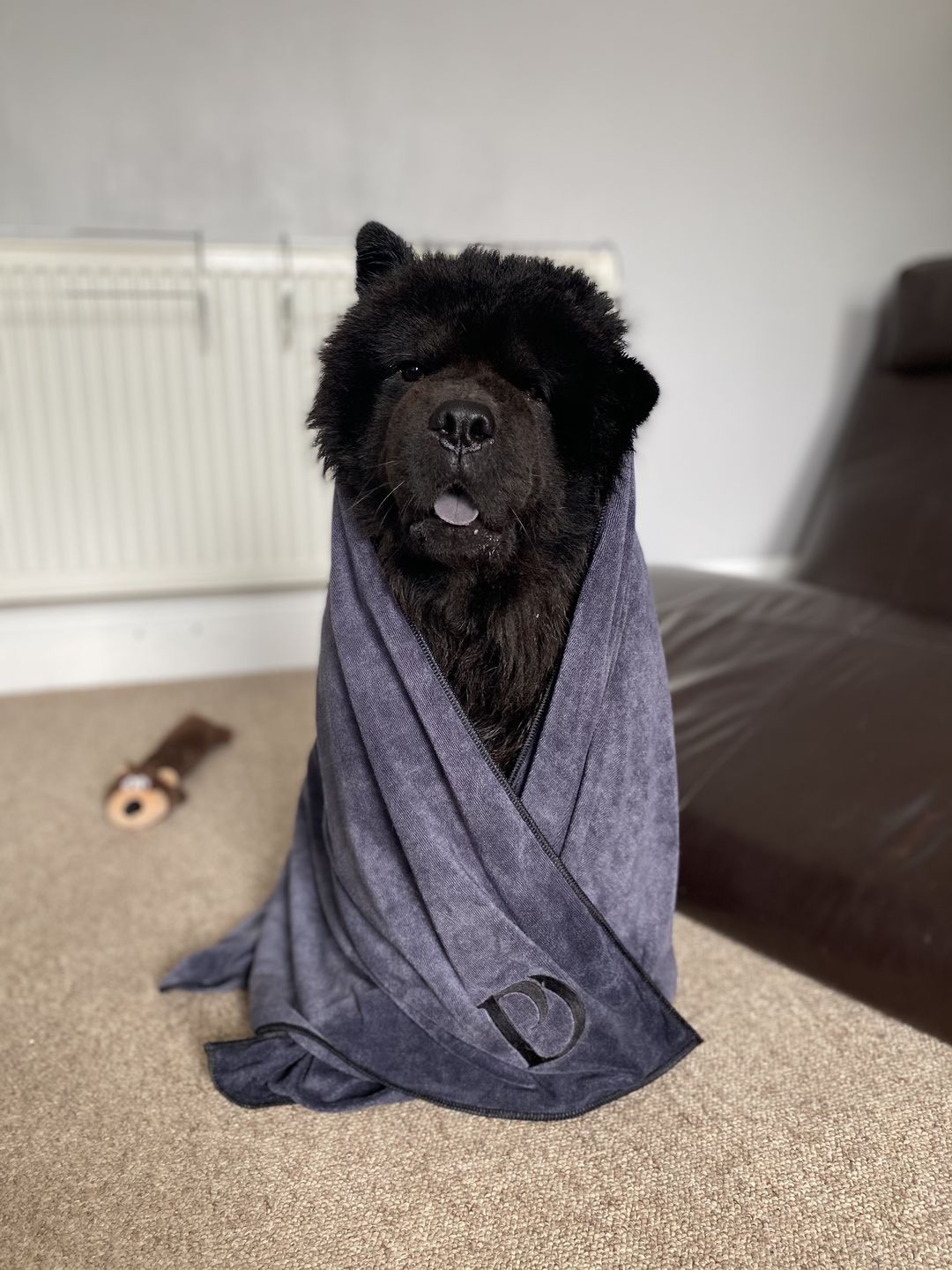 Customer photo review of Luxury Dog Towel